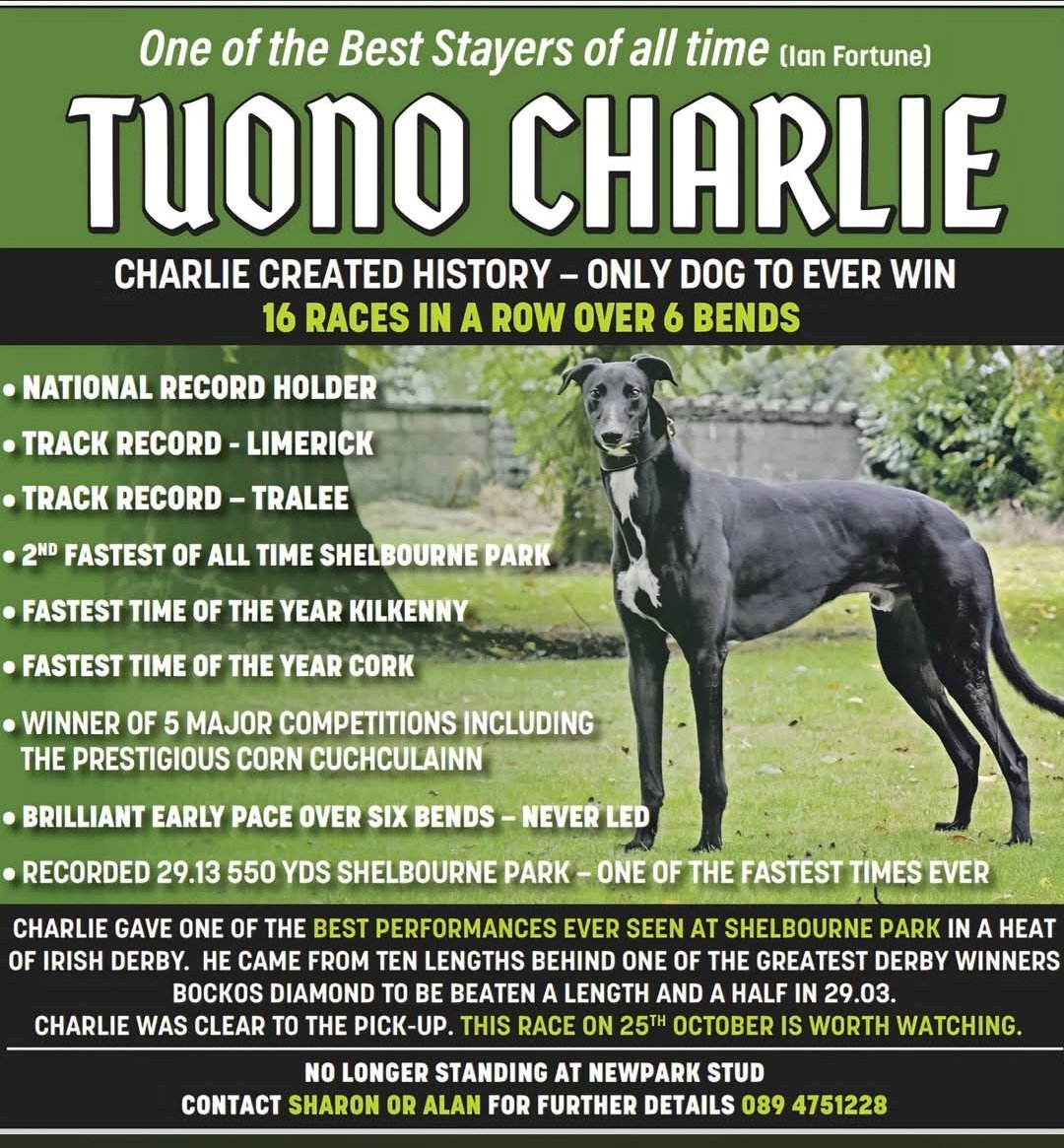 Tuono Charlie  :  STUD DOG