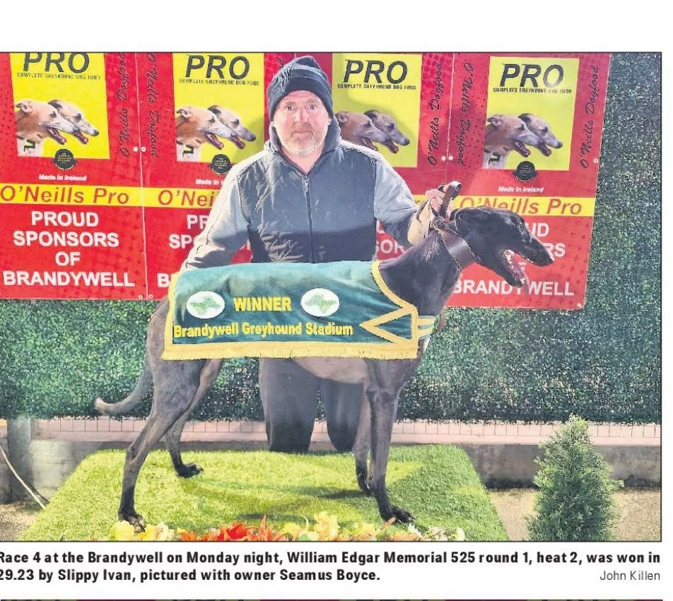 Slippy Ivan : April 2024 : 29.17 Lifford winner at 3 different tracks