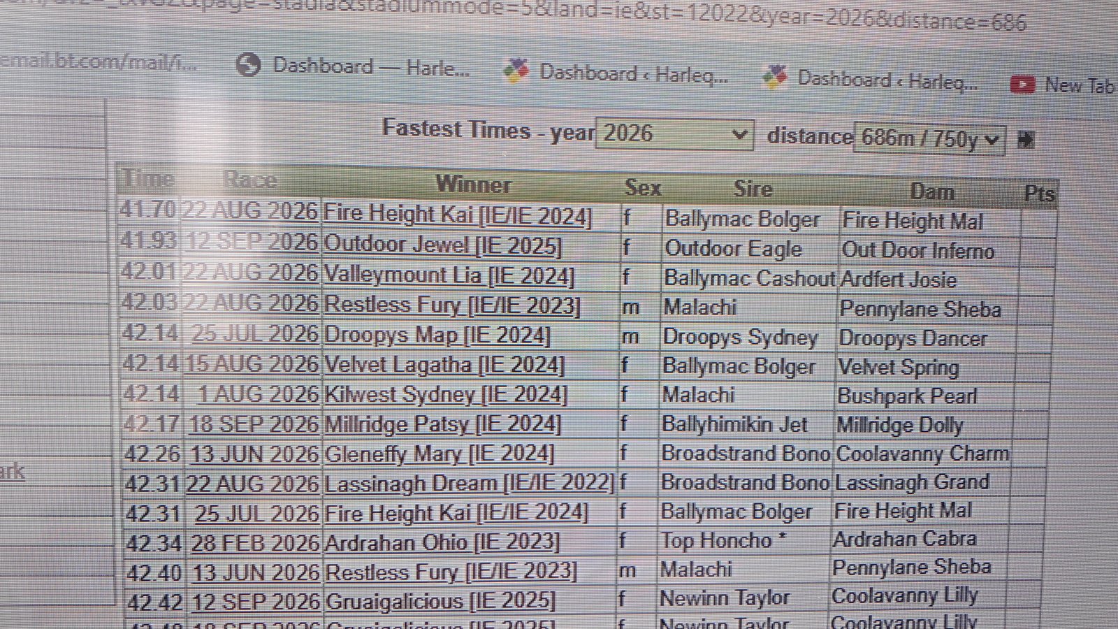 Velvet Lagatha (Stayer) : October 2024 : 31.20 575 Limerick : 42.34 750 Tralee