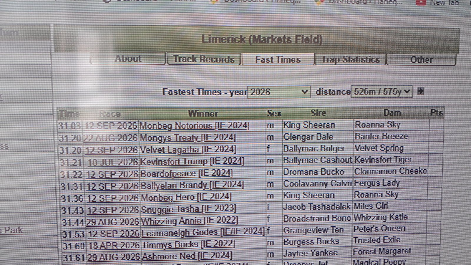 Velvet Lagatha (Stayer) : October 2024 : 31.20 575 Limerick : 42.34 750 Tralee